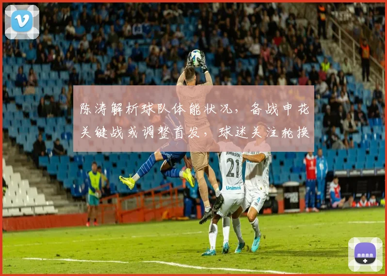 陈涛解析球队体能状况,备战申花关键战或调整首发,球迷关注轮换策略